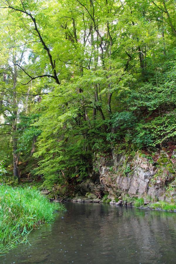 Camping Fox Cesky Krumlov Kajov Екстер'єр фото